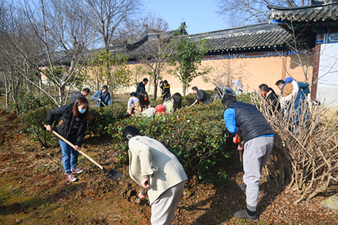 web黨員、團員共同線下植樹(shù).jpg