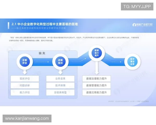 开云旗舰平台：实现品牌数字化转型的核心战略布局